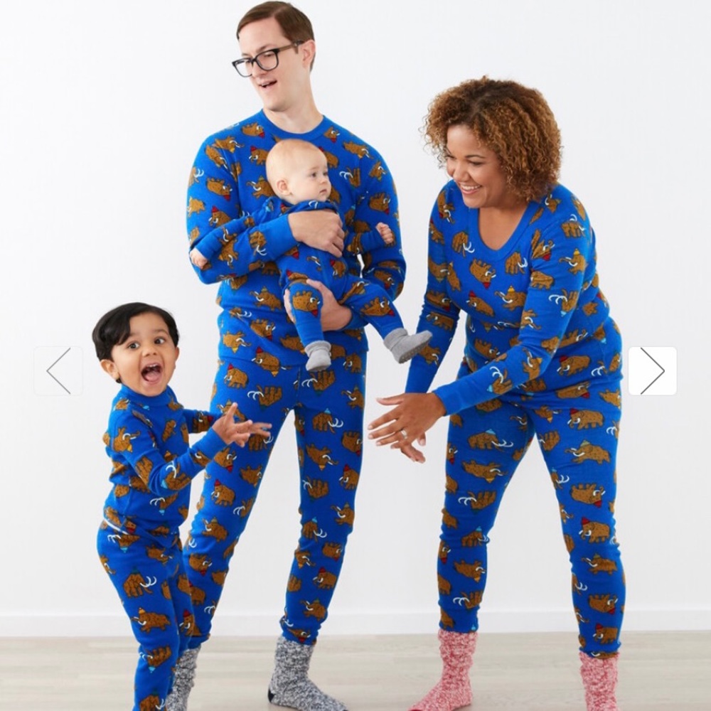 🎄Hanna Andersson Merry Mammoth jammies🎄🦣